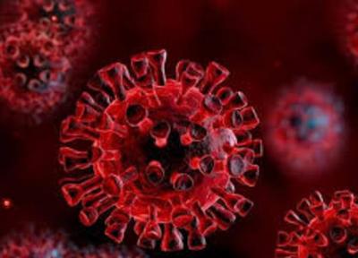 راه چاره های ساده و خانگی برای پیشگیری و مهار ویروس کرونا